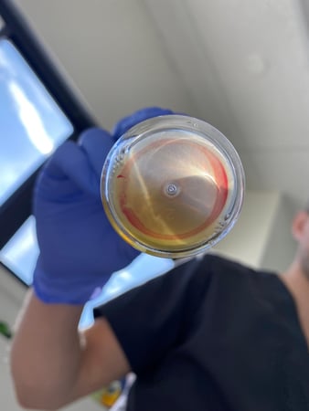 Images Greystone Regenerative Medicine