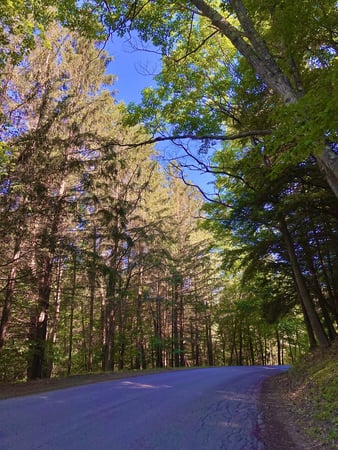 Images Redwood Inn & Suites