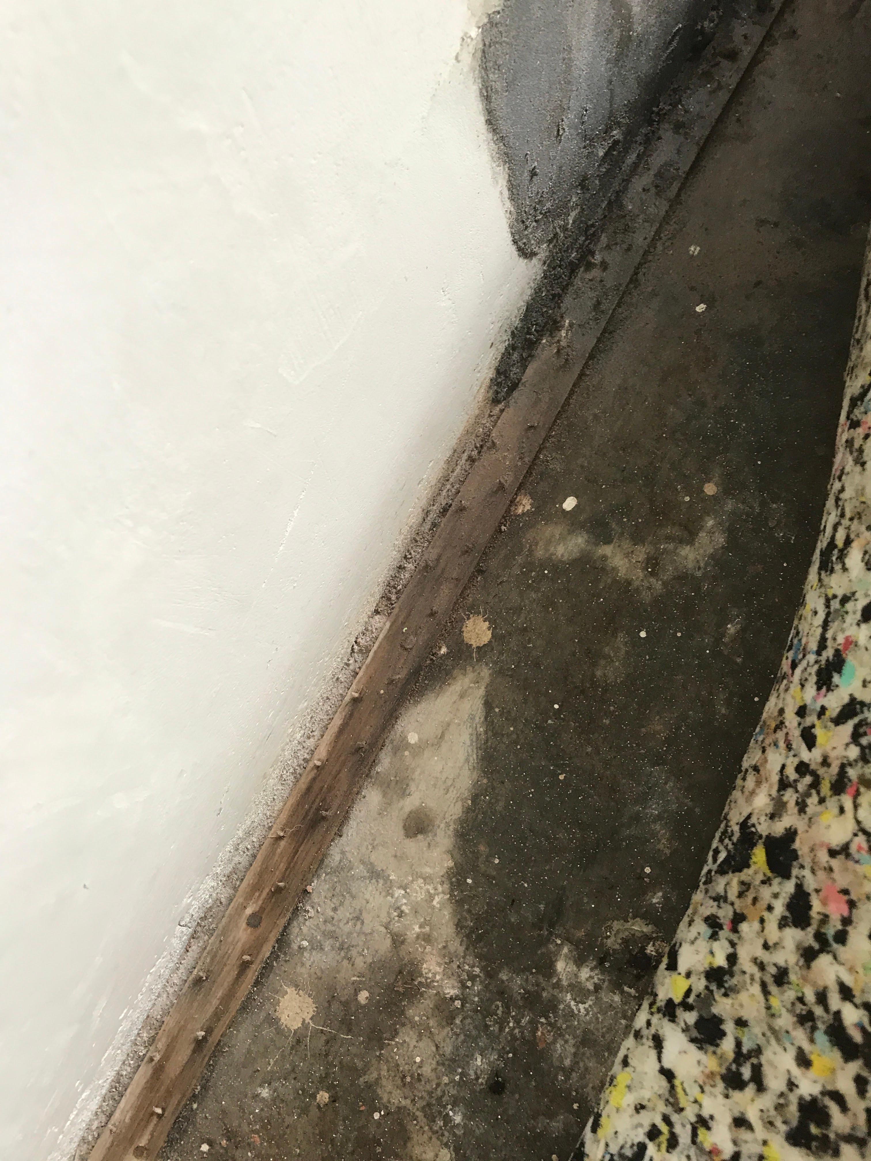 Images Restored Right flood Restoration Carpet Cleaning & Cleaning Services