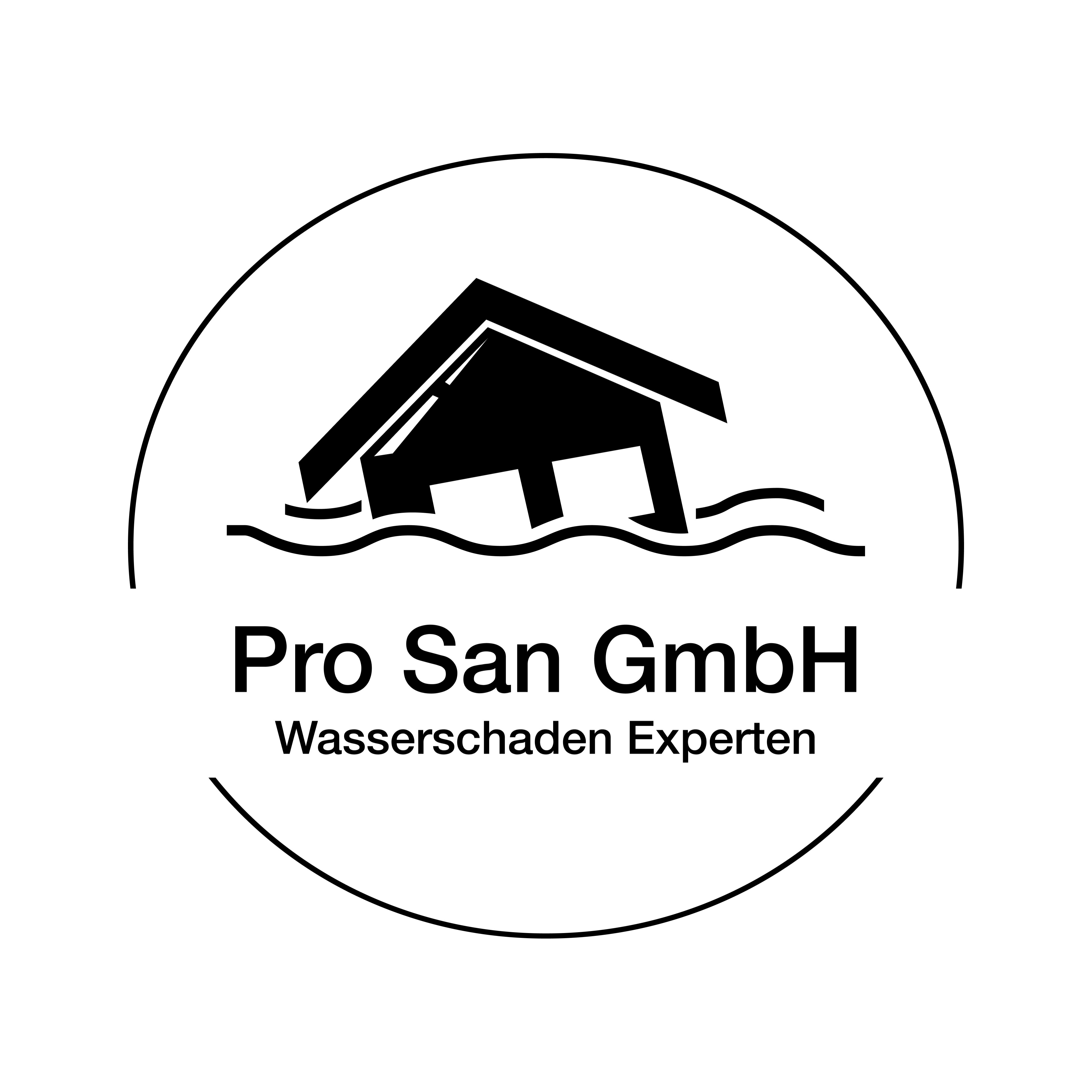 Pro San Wasserschadensanierung GmbH in Weinsheim Kreis Bad Kreuznach - Logo