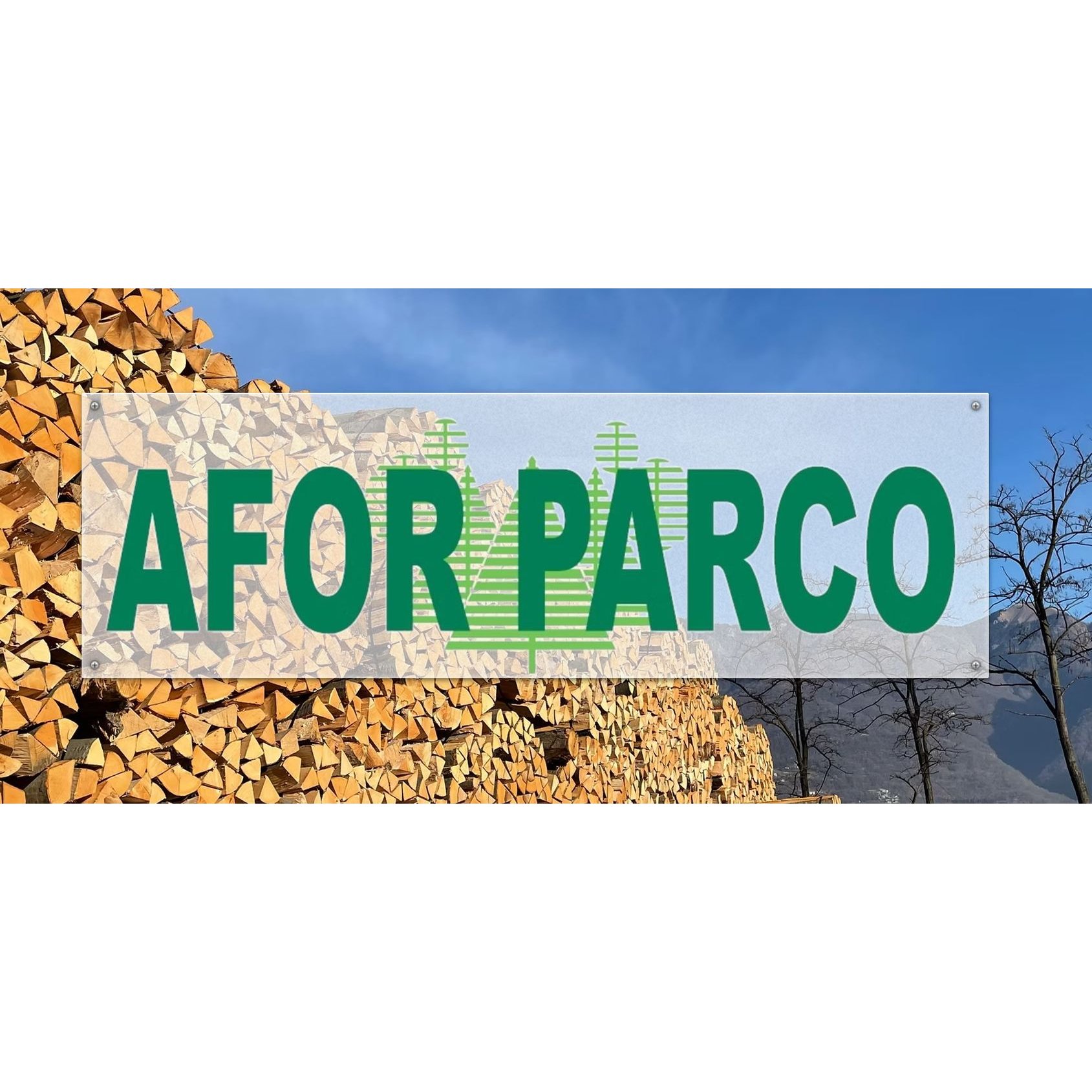 AFOR Parco SA Logo