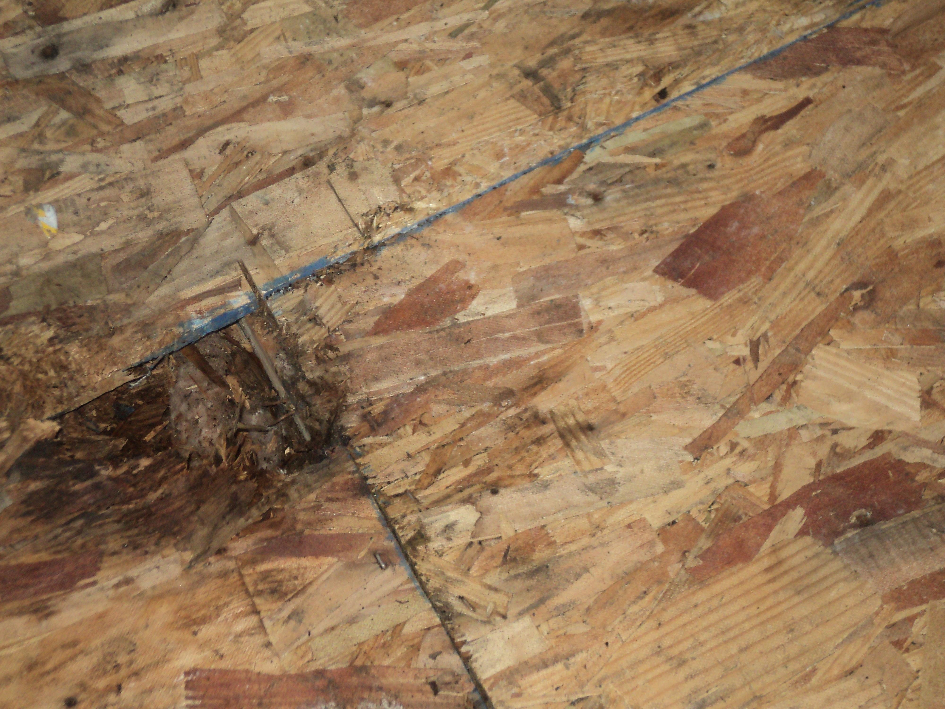 All City Roofing, Llc