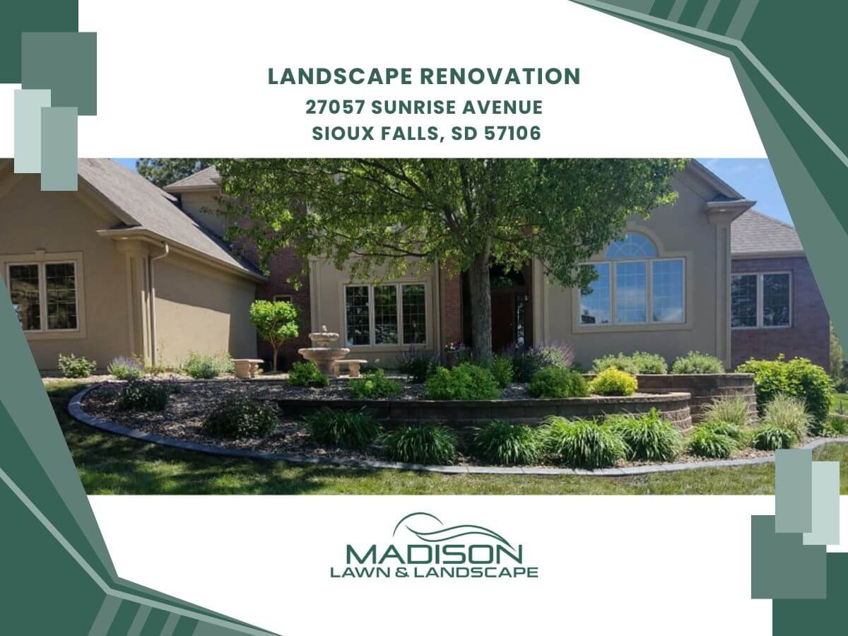 landscape renovation