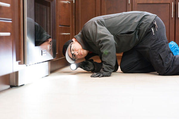 Our rodent inspections are NOT FREE. A typical professional quality rodent inspection takes around 3 hours to do for a house that is less than 3,000 square feet. We take your protection seriously.