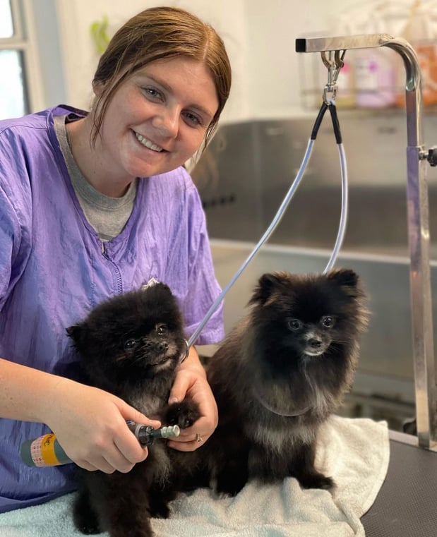 Images San Diego Grooming Academy