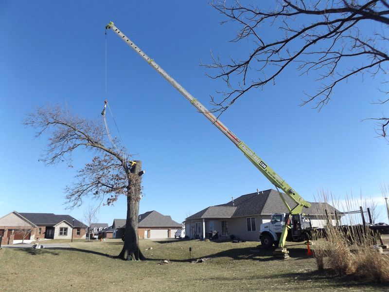 Images Hudson Tree Service
