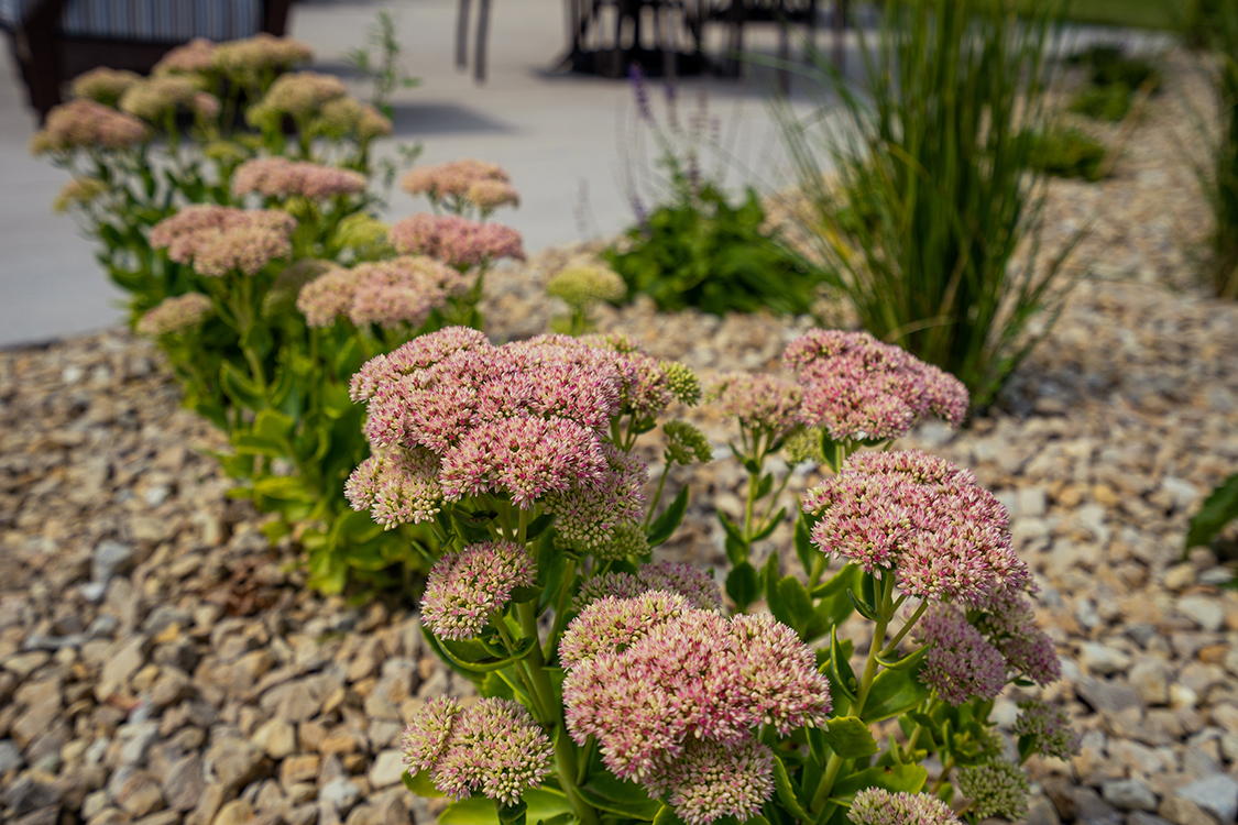 With scenic surroundings, lush walking paths, and common areas bathed in natural light, Guardian Angels - Riverview Landing Otsego truly emphasizes total wellness both indoors and out.