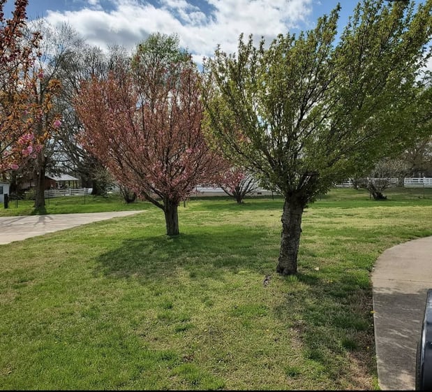 Images Cooks Lawn Care Service