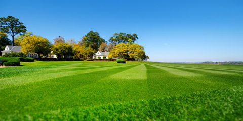 Make the Most of Summer Lawn Care with these Warm-Weather Landscaping Tips Sharp Lawn Inc. Nicholasville (859)253-6688