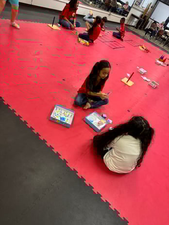 Images Jaguar Dojo