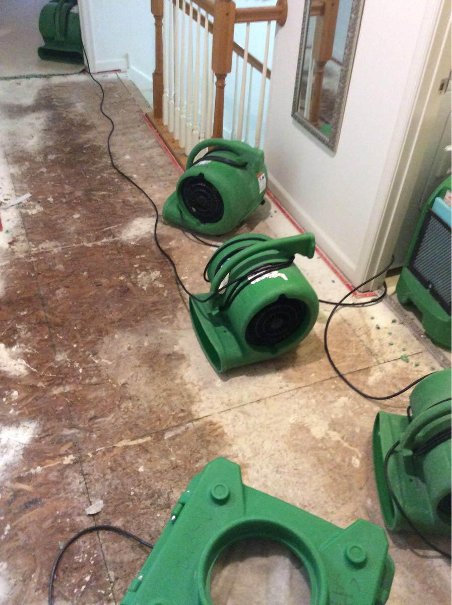 SERVPRO of North East Chester County has the proper equipment to restore your home or business after a water loss.