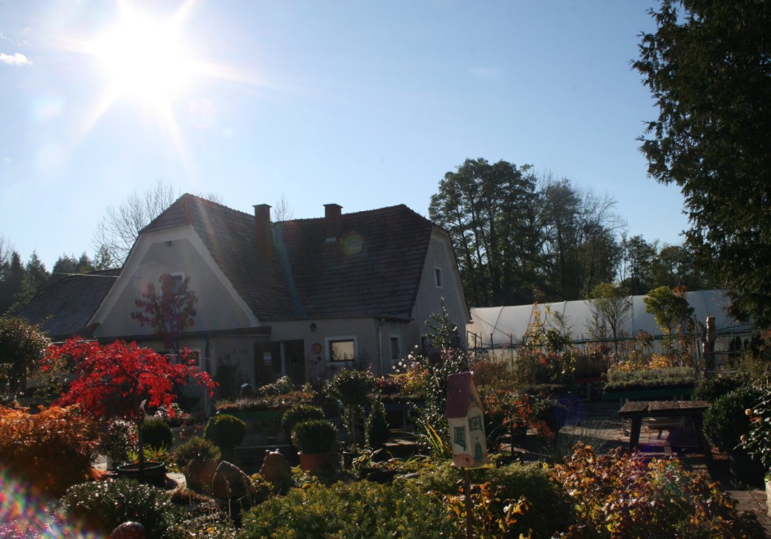 Baumschule Ledolter, Stattegger Straße 130 in Graz