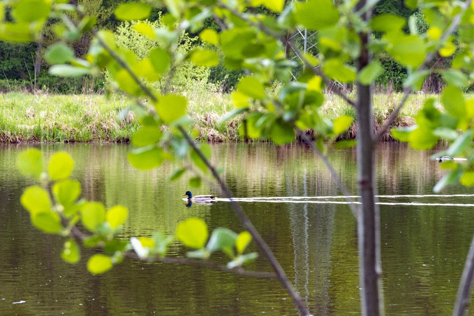 Bilder AUSZEIT An der Aller