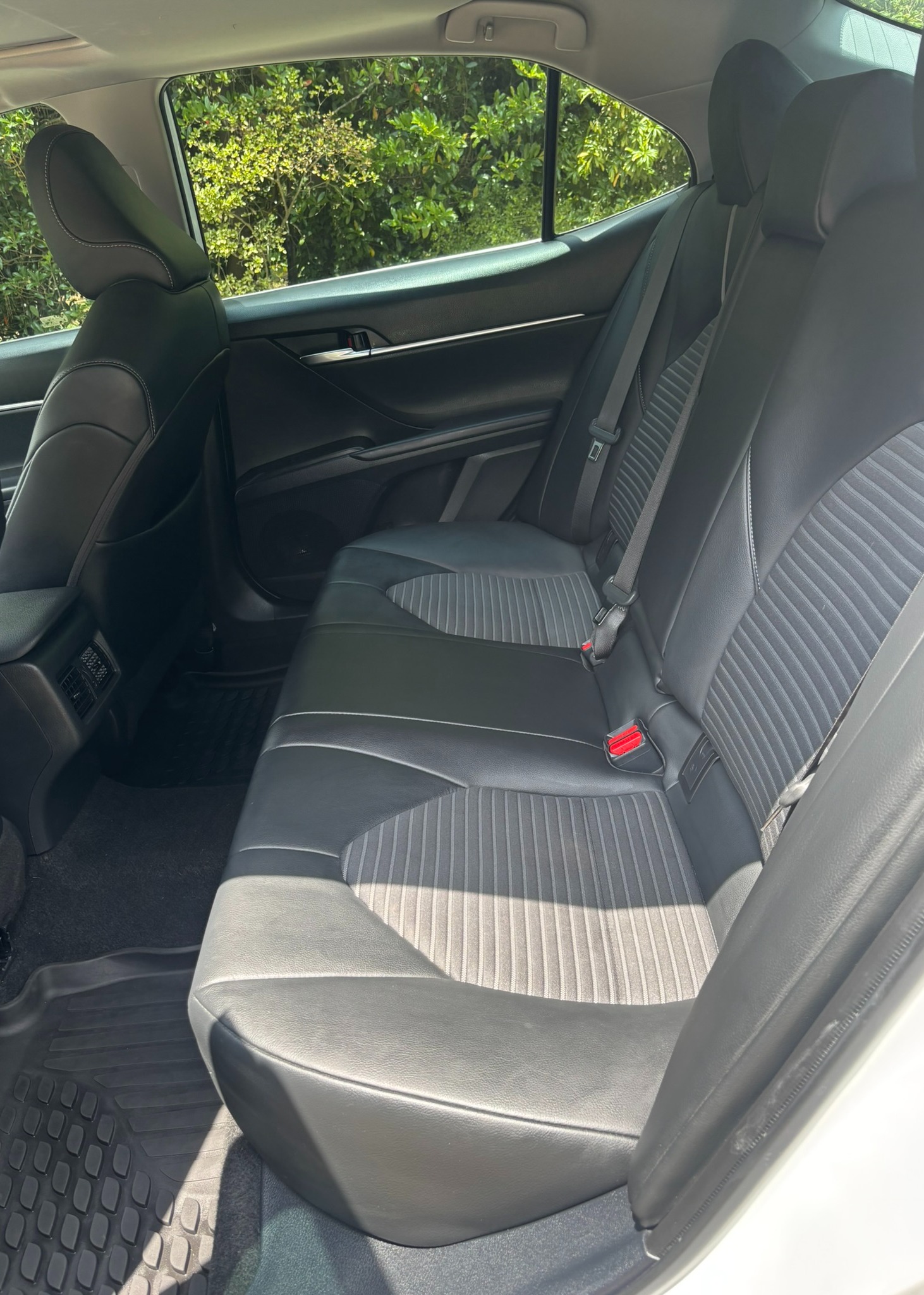 Interior car detailing, shampooing, leather cleaning