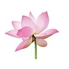 Kae-Thaimassage Logo