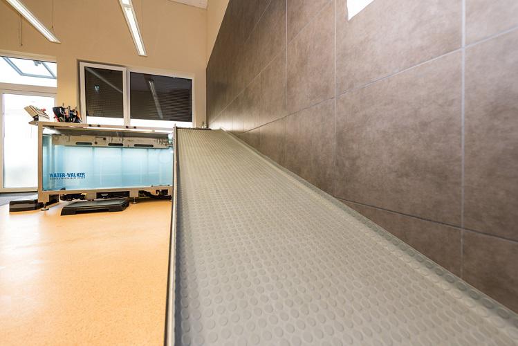 Zentrum für Tierphysiotherapie & Rehabilitation Mag. vet. med Sandra Stastny, Andreas Leykamplatz 1/7 in Gratkorn