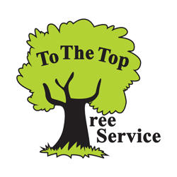 To The Top Tree Service Logo