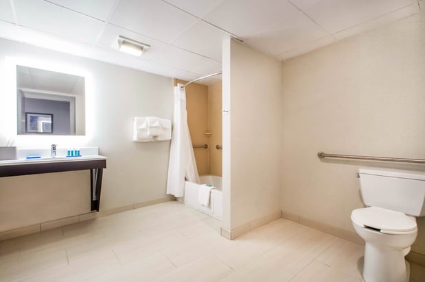 Images Holiday Inn Express & Suites Albany Airport - Wolf Road by IHG