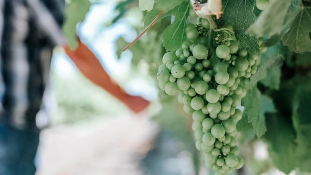 Images Where Food Comes From Inc