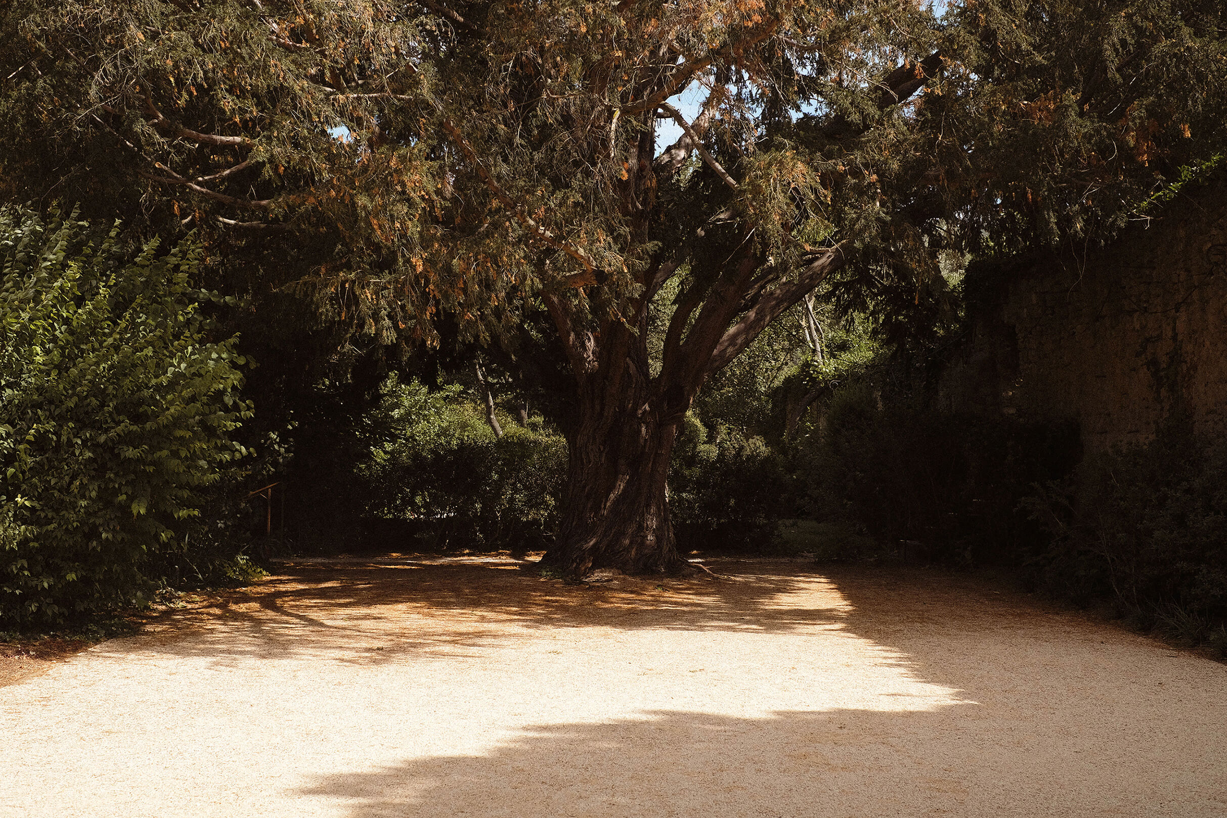 Le Galinier, Lourmarin, a Beaumier guesthouse
