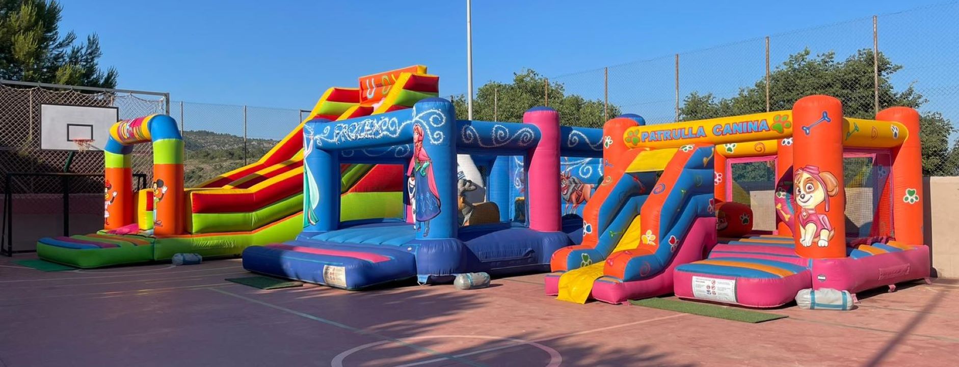 Images Alpe Animacio