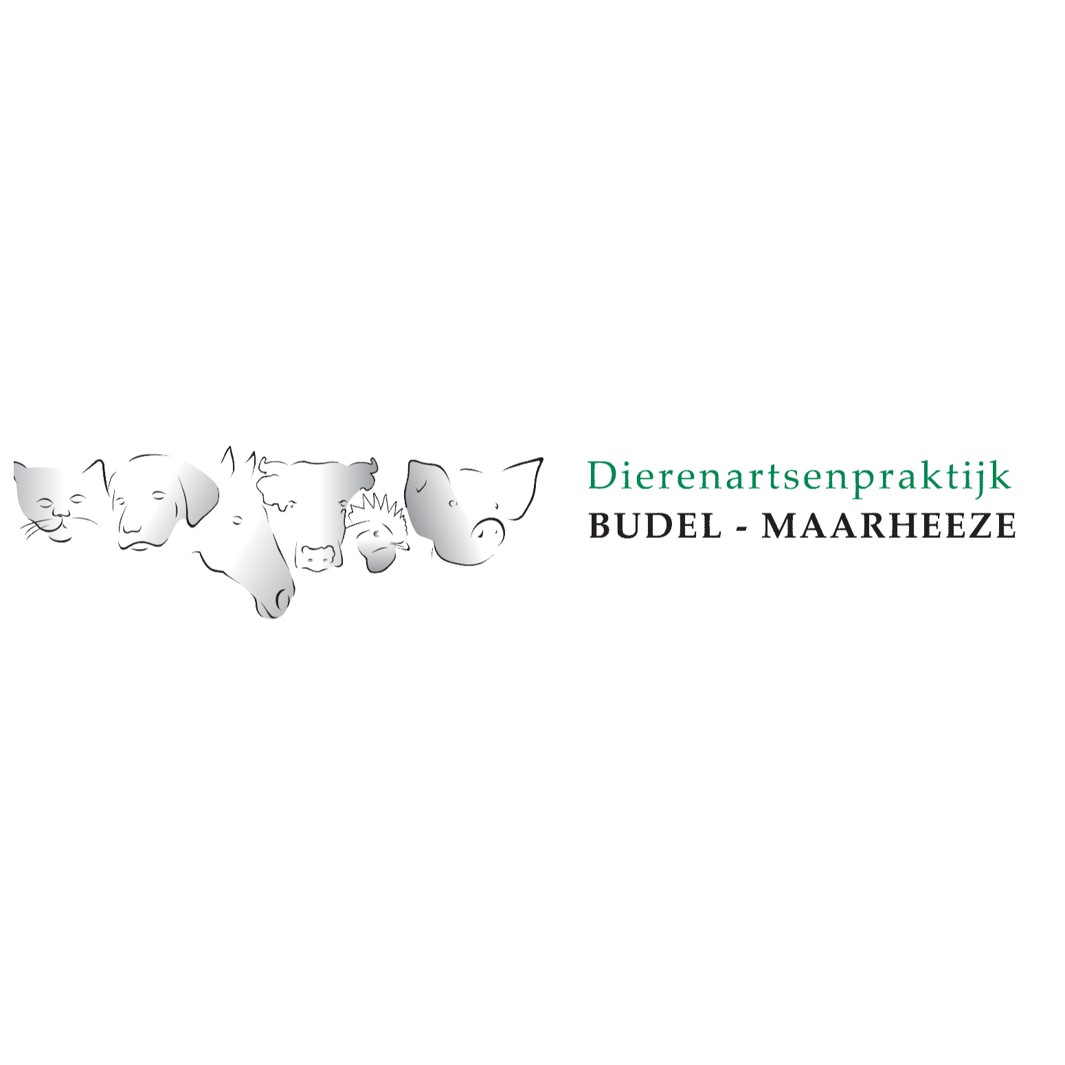 Dierenartsenpraktijk Budel-Maarheeze Logo