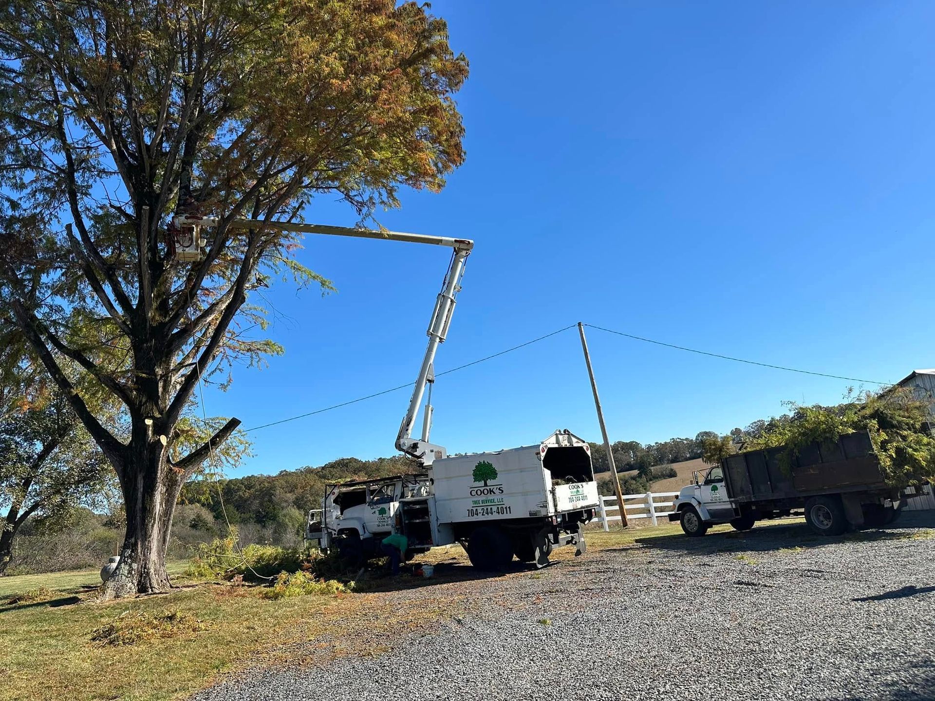 Cook's Tree Service Image