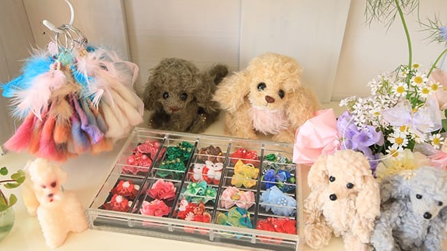 Images わんわんスタイルANNE