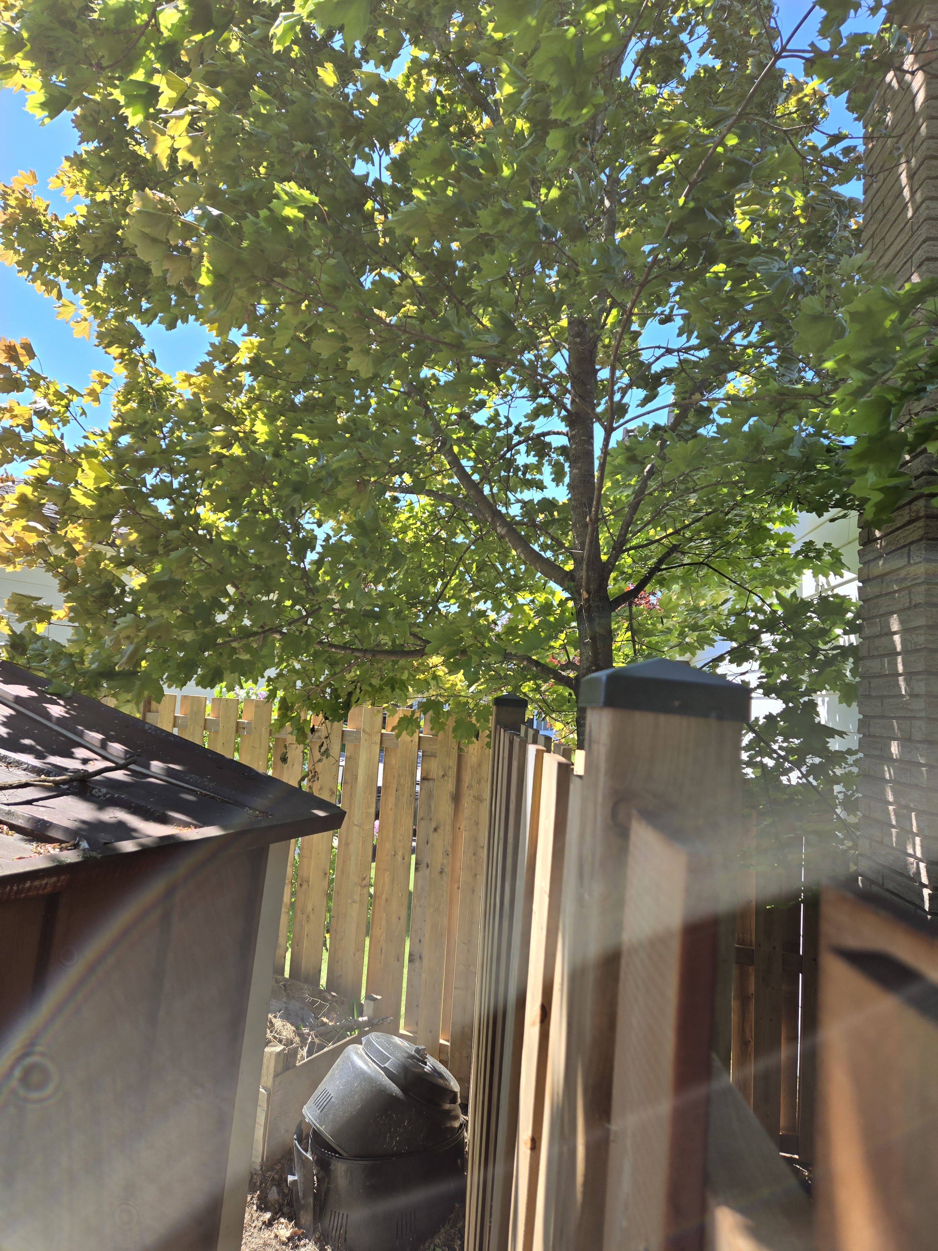 Images All Above Property Maintenance and General Contracting