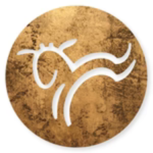 Lively Kids Logo
