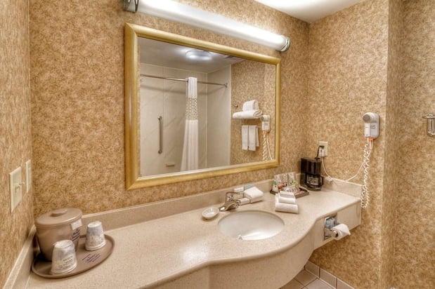 Images Hampton Inn & Suites Kalamazoo-Oshtemo