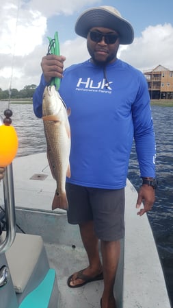 Images E-6 INSHORE FISHING ADVENTURES, LLC