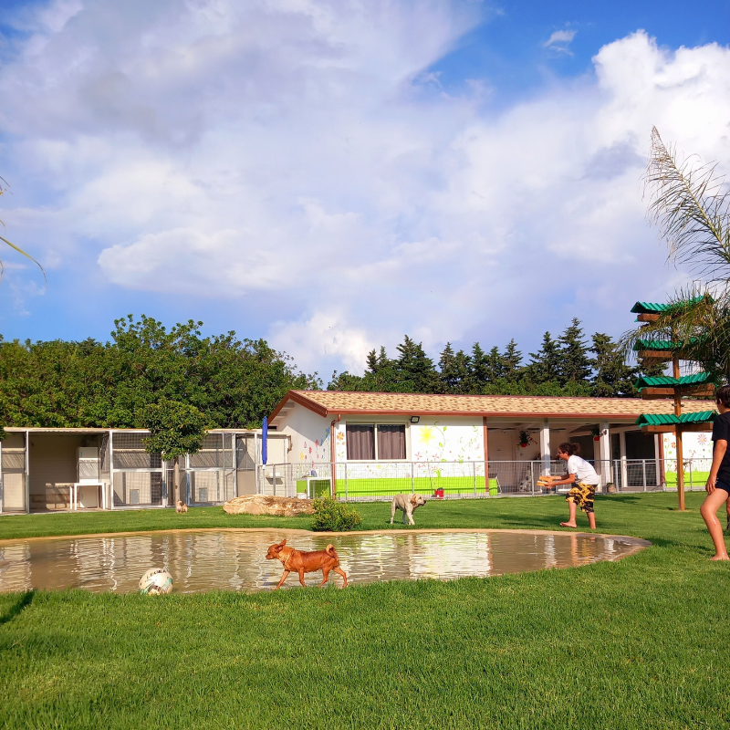 Images Le Meravigliose Creature