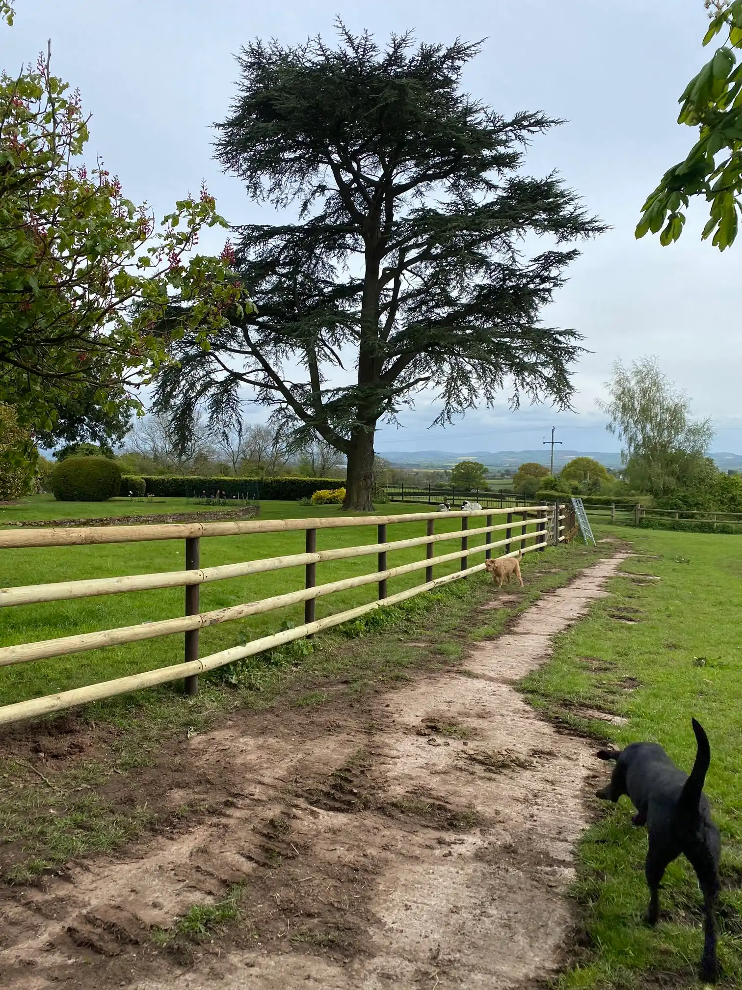 Images BJB Contractors Ltd