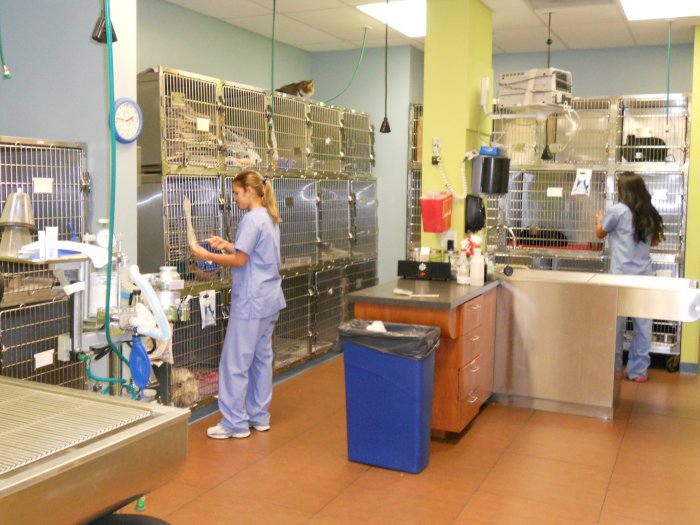 Images VCA Cabrera Animal Hospital