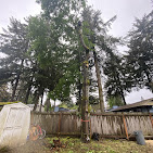 Images Alexa's Tree Service