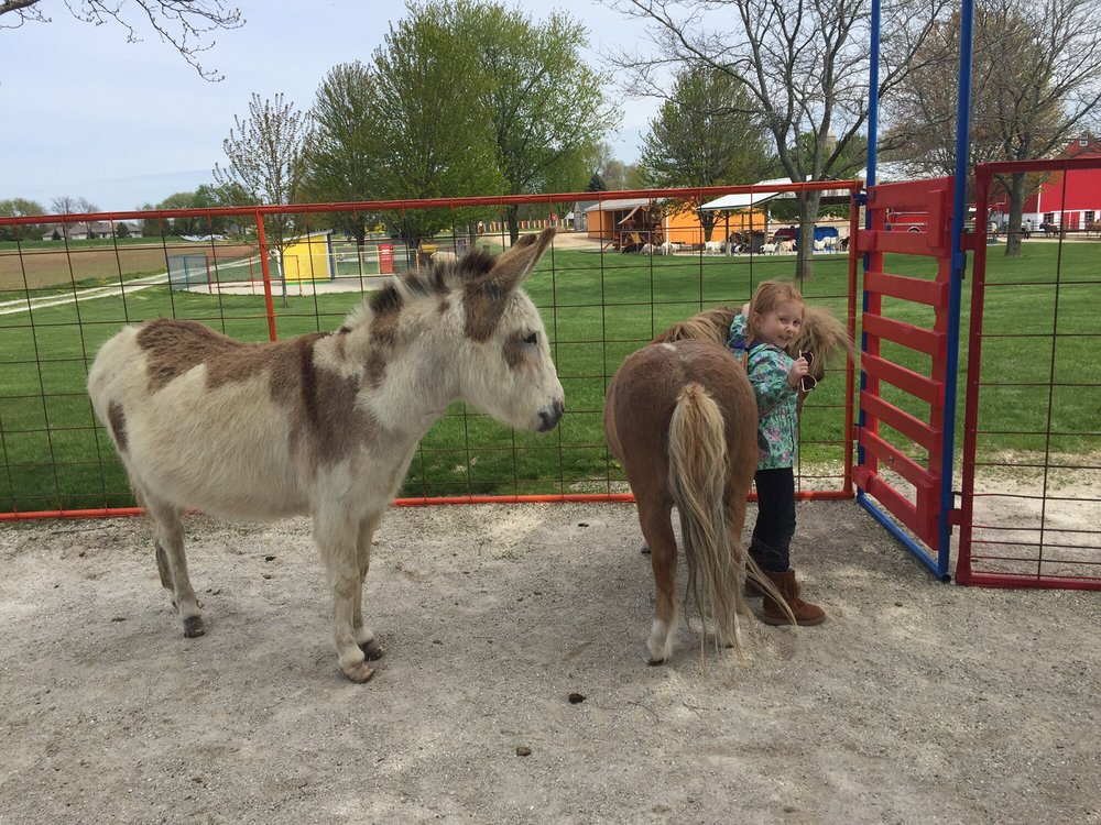 Green Meadows Petting Farm Coupons near me in East Troy ...