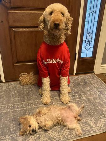 Images Debbie Allen - State Farm Insurance Agent