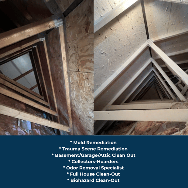 Images Quality Mold Remediation LLC