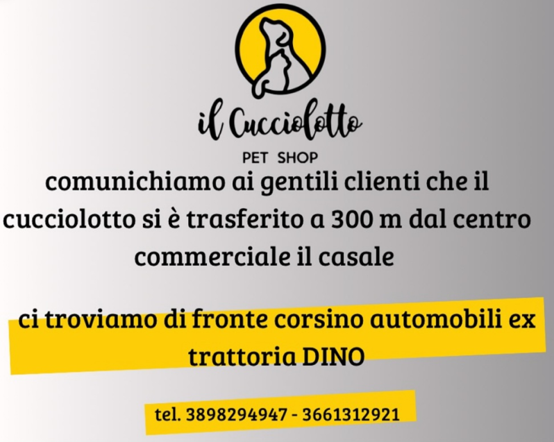 Images Il Cucciolotto Pet Shop e toelettatura