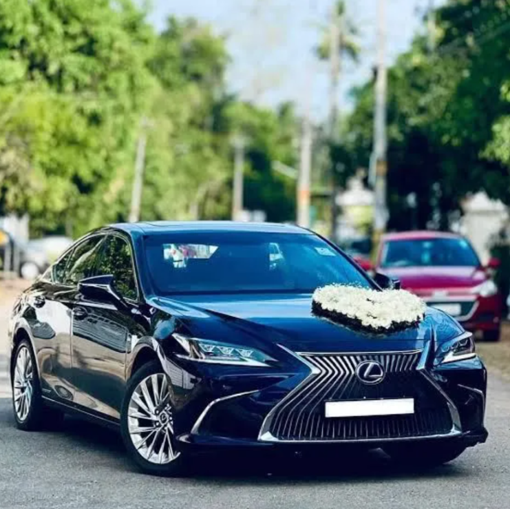 Images Waratah Hire Cars