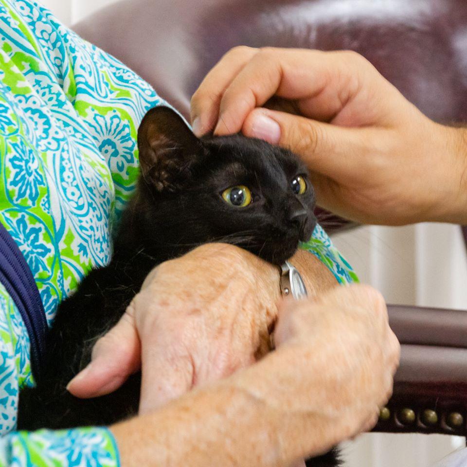 Rock River Animal Clinic Fort Atkinson 9205630464 Veterinarians