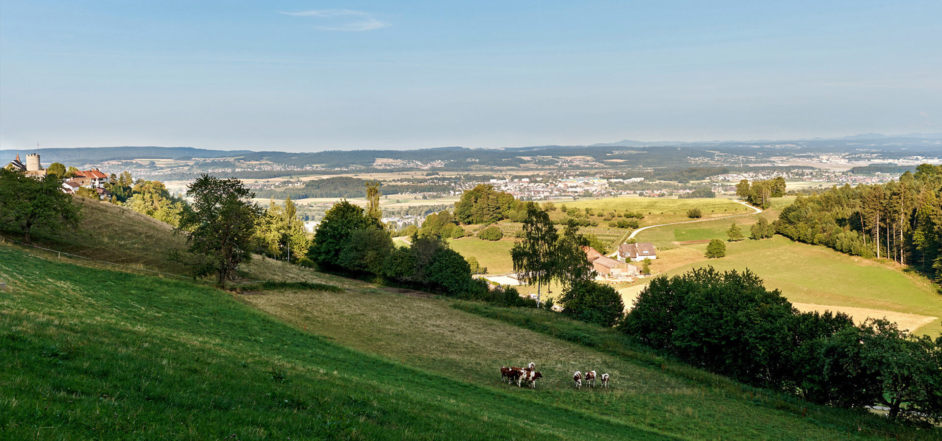 Schäfer Areal, Brüelstrasse 18 in Dielsdorf