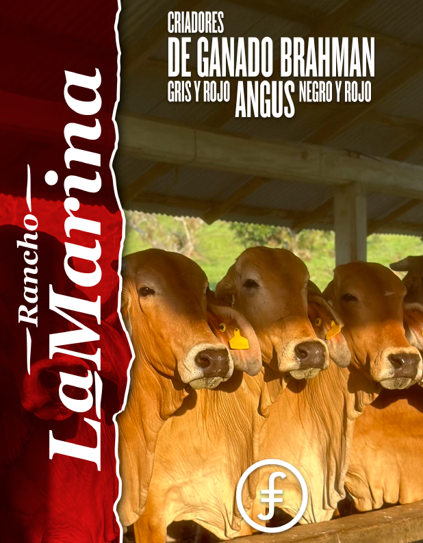 Images Rancho La Marina