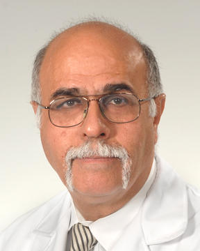 Mahmoud Daftary MD