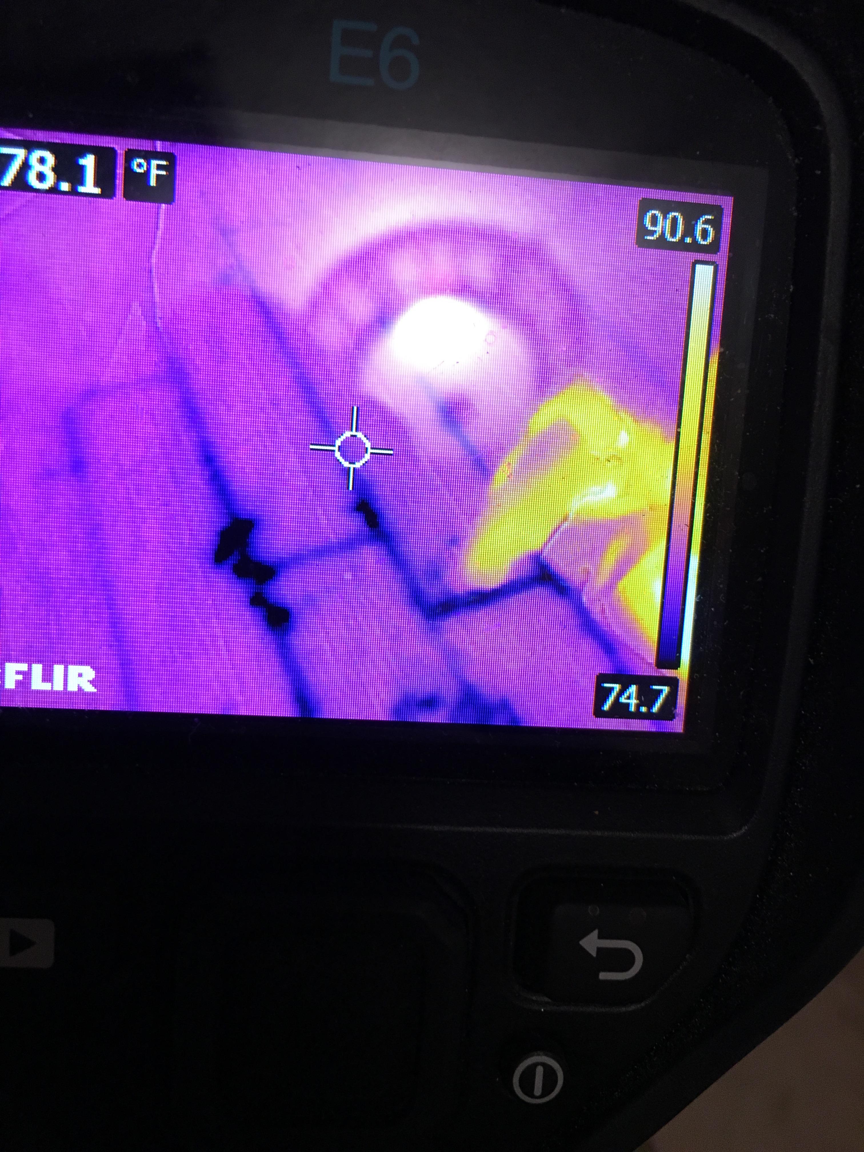 Using our thermal cameras to check for moisture.