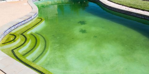 Images Distinctive Swimming Pools, Inc.