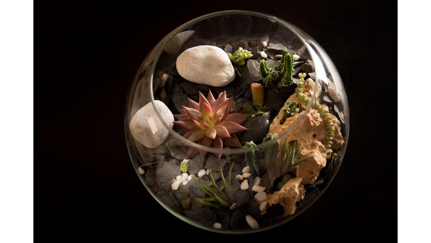 Cementiri Comarcal Roques Blanques 27