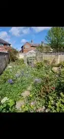 Images PG Garden Maintenance