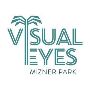 Visual Eyes Logo